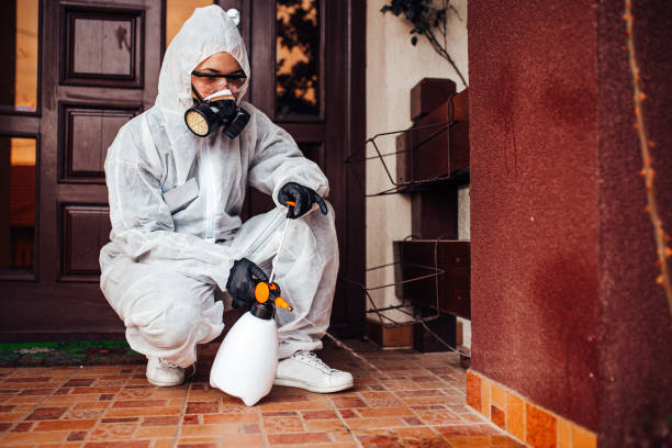 Reliable Cockroach Control contractor in Silver Springs Shores, FL by Nex Pest Control