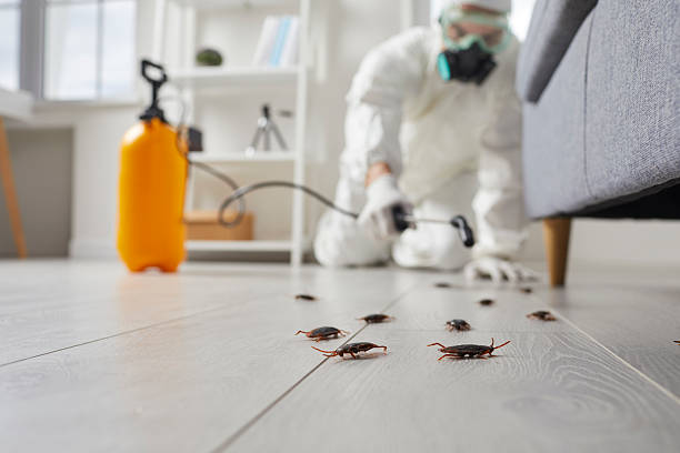 Affordable Cockroach Control solutions in Silver Springs Shores, FL